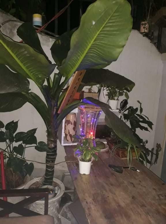 دالات My Dream Hostel المظهر الخارجي الصورة